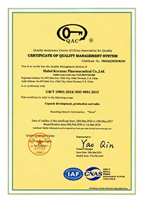 ISO 9001